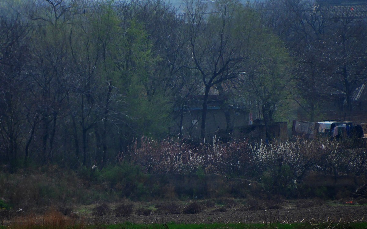 P1020943.jpg