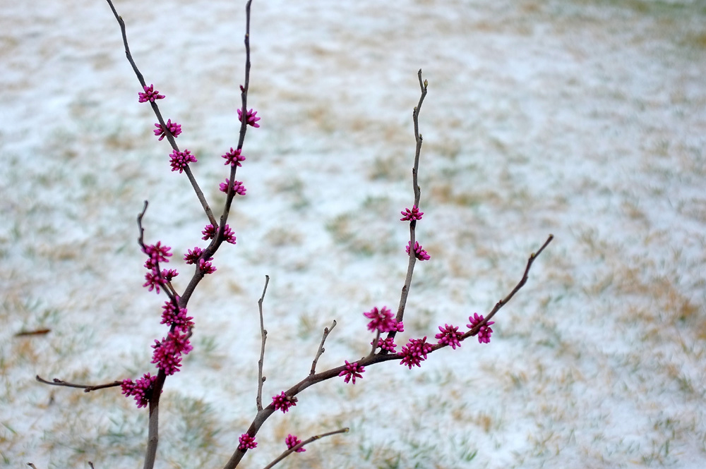 DSCF6506.JPG