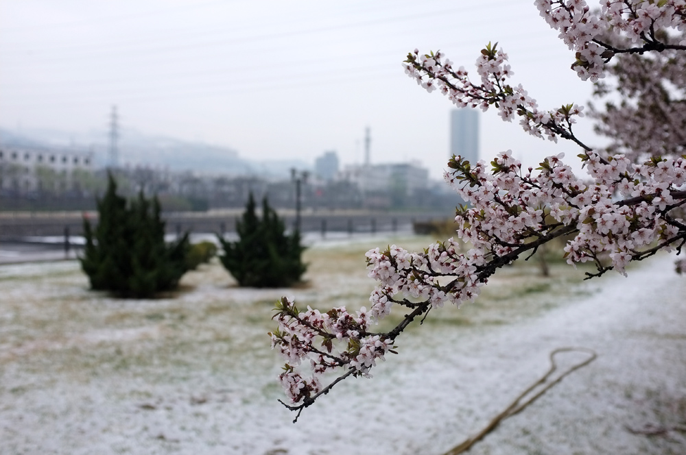 DSCF6469.JPG