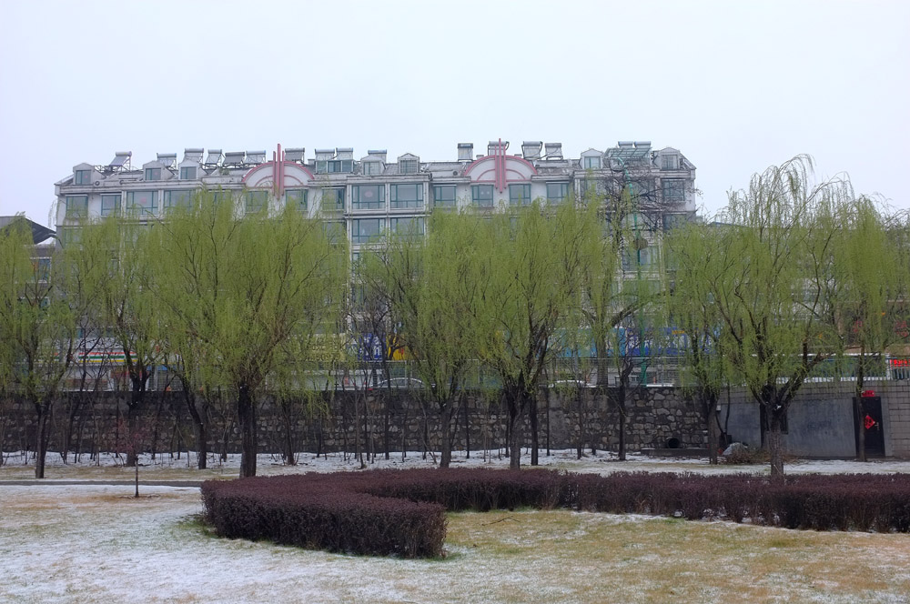 DSCF6492.JPG