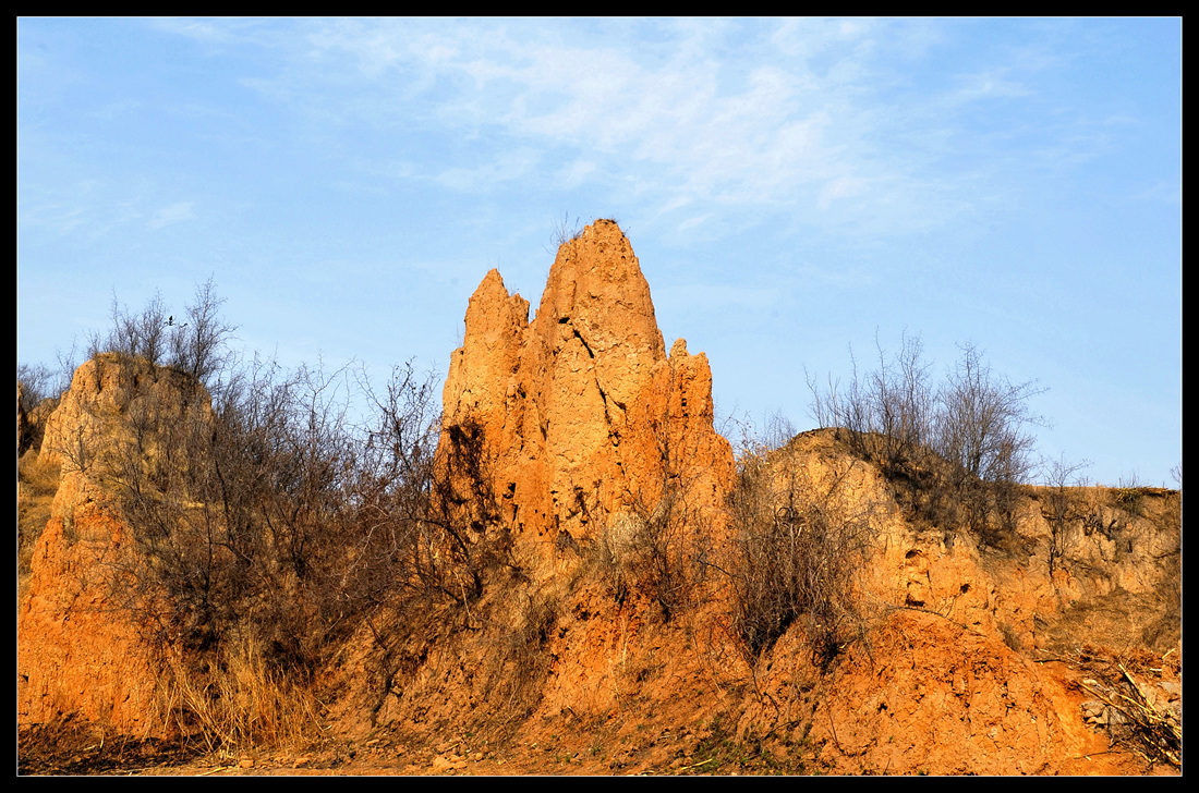 _DSC3293.JPG