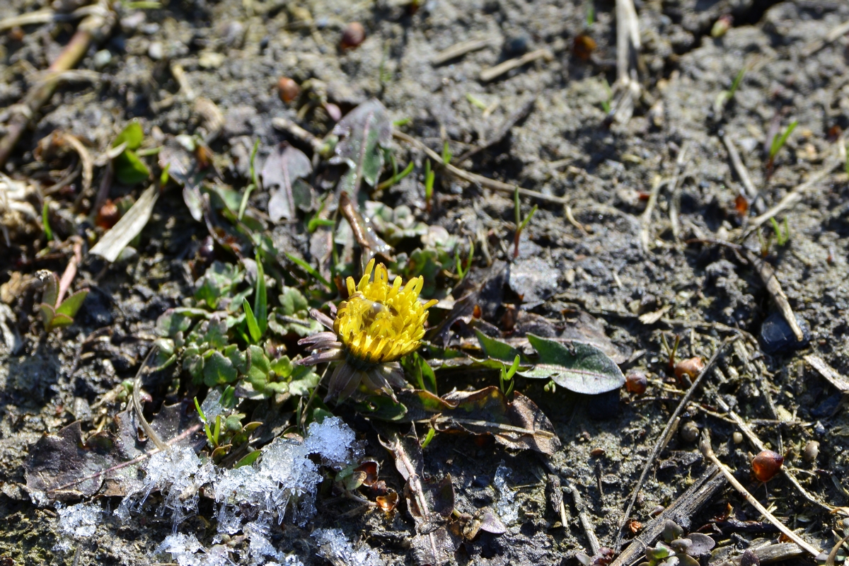 _DSC0269.jpg