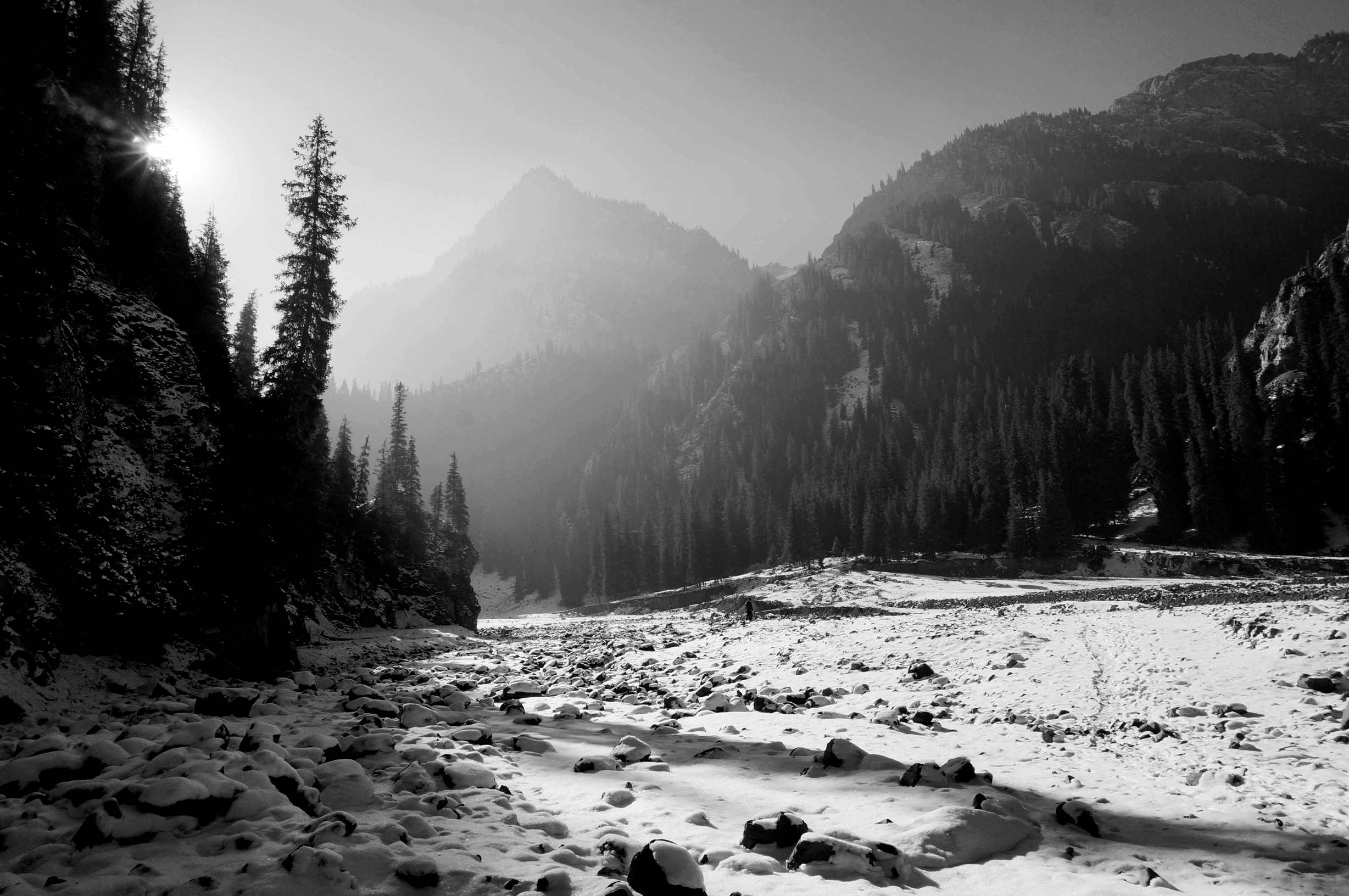 DSC01324 _.jpg