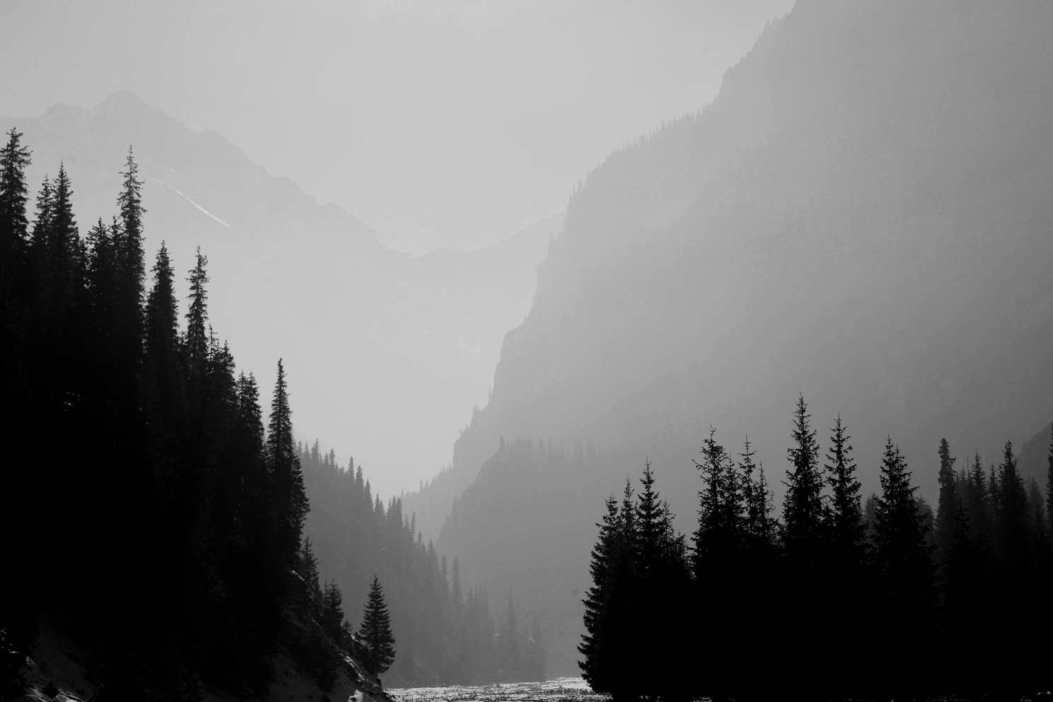 Ƭ 502 _1.jpg