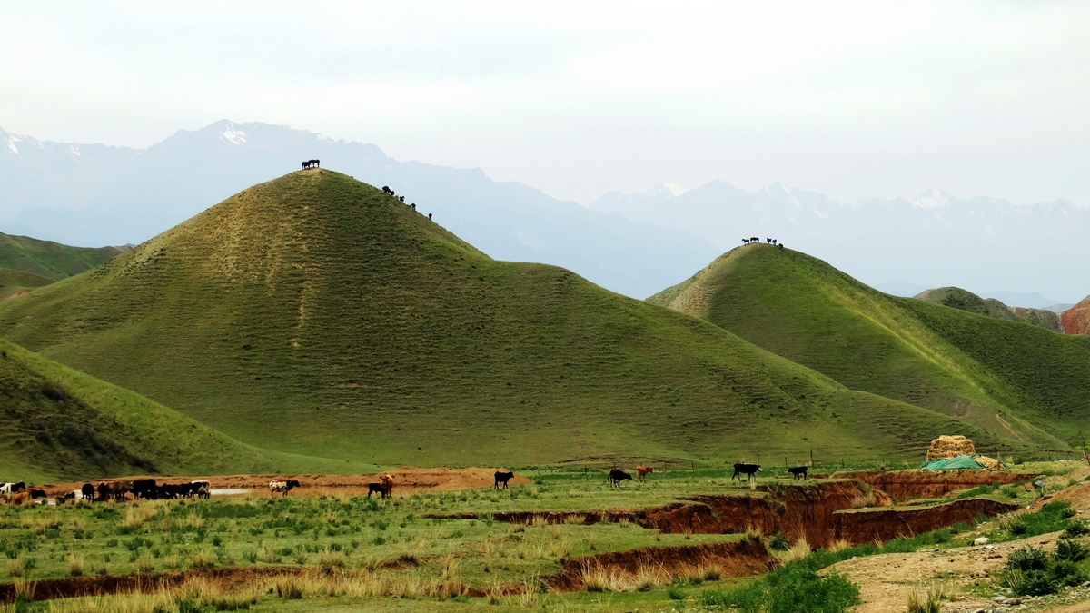 nDSC01259.jpg