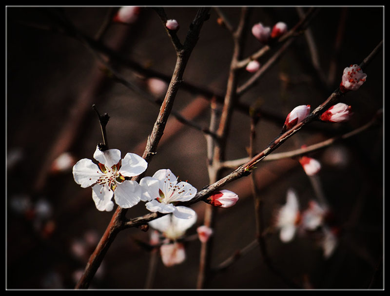 DSC04370_.jpg