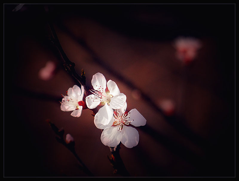 DSC04372_.jpg