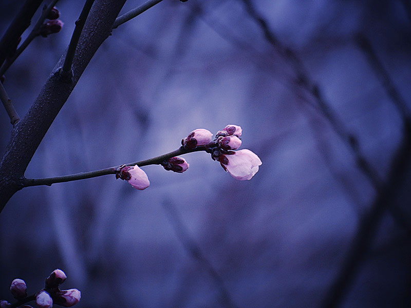 DSC04402_.jpg
