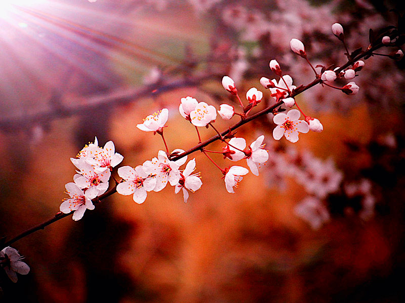 DSC04428_.jpg