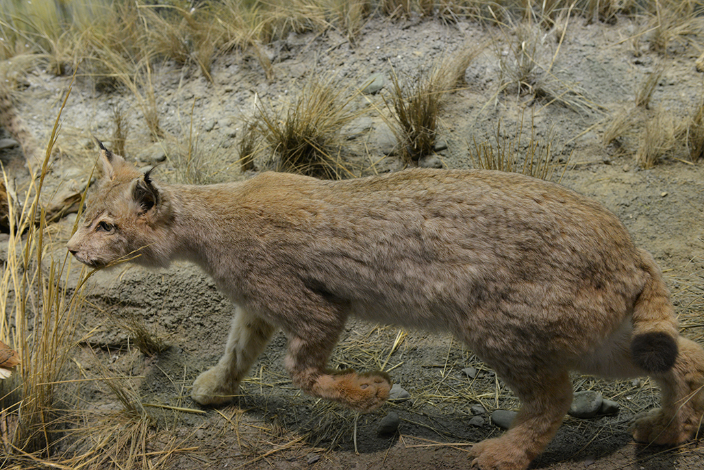 DSC_3336.JPG