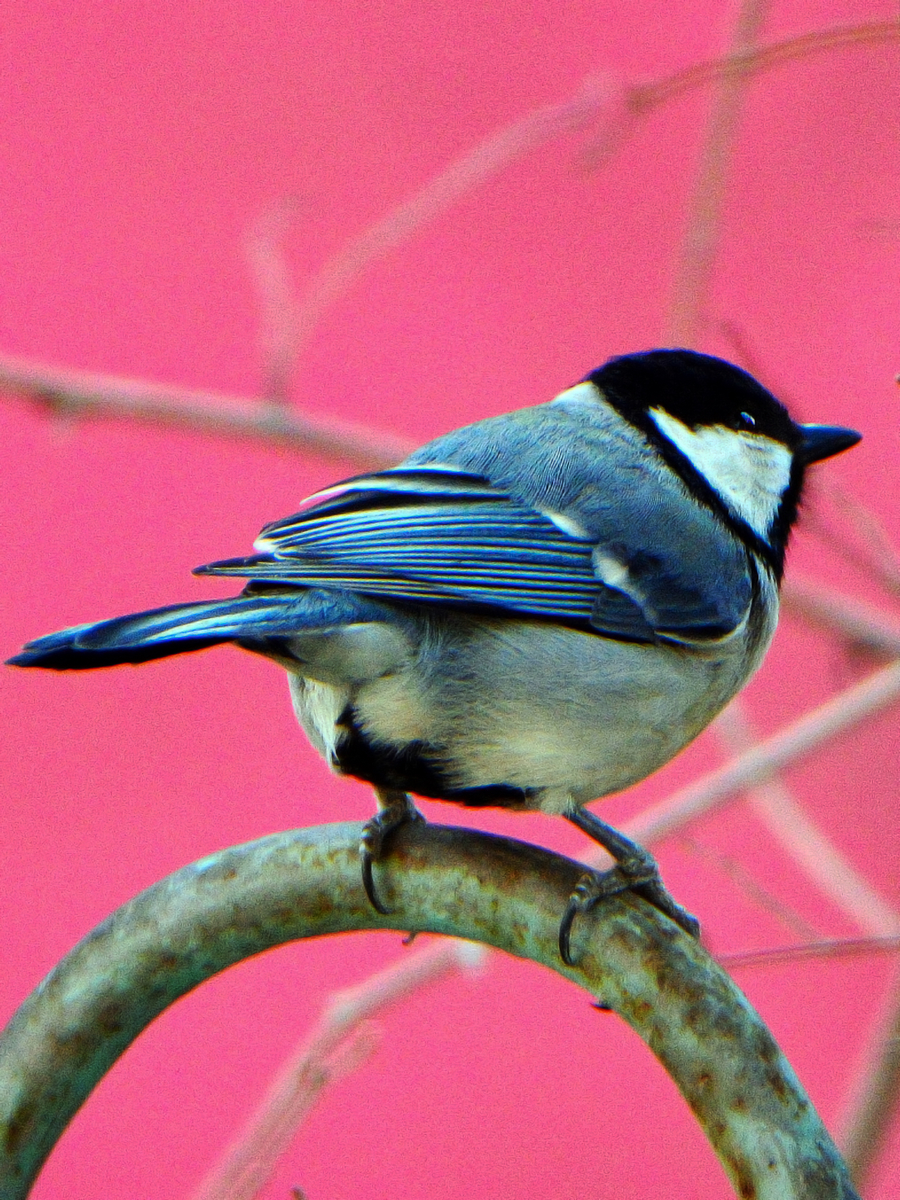 nEO_IMG_DSC_0328.jpg