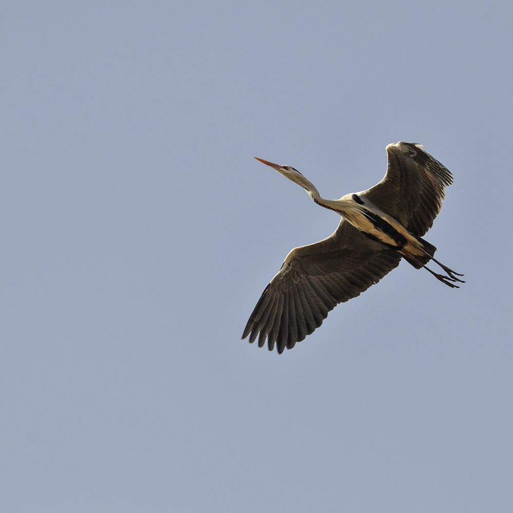 2015316ˮĥͷ a1051.jpg