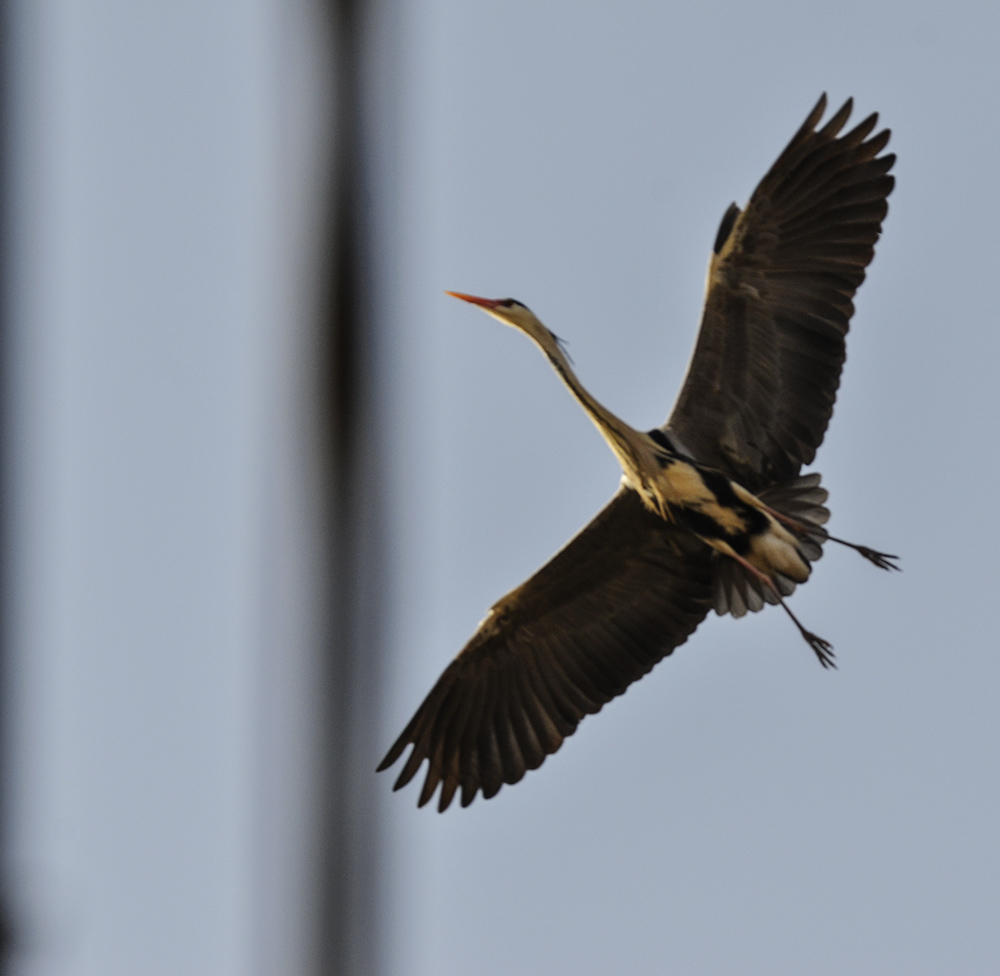 2015316ˮĥͷ a0851.jpg