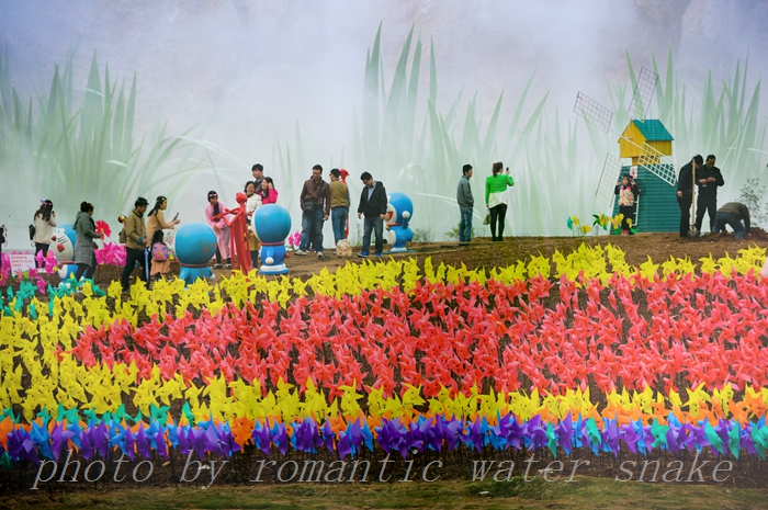 DSC_5756-1.jpg