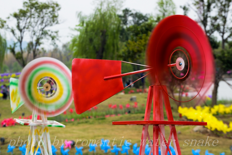 DSC_5760.jpg
