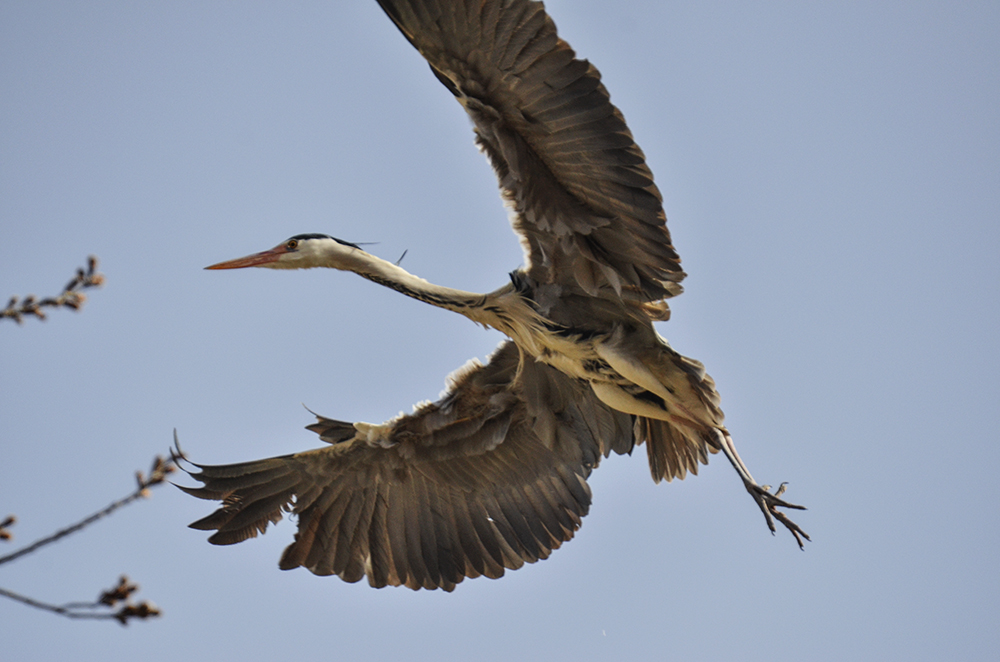 2015316ˮĥͷ a7601.jpg
