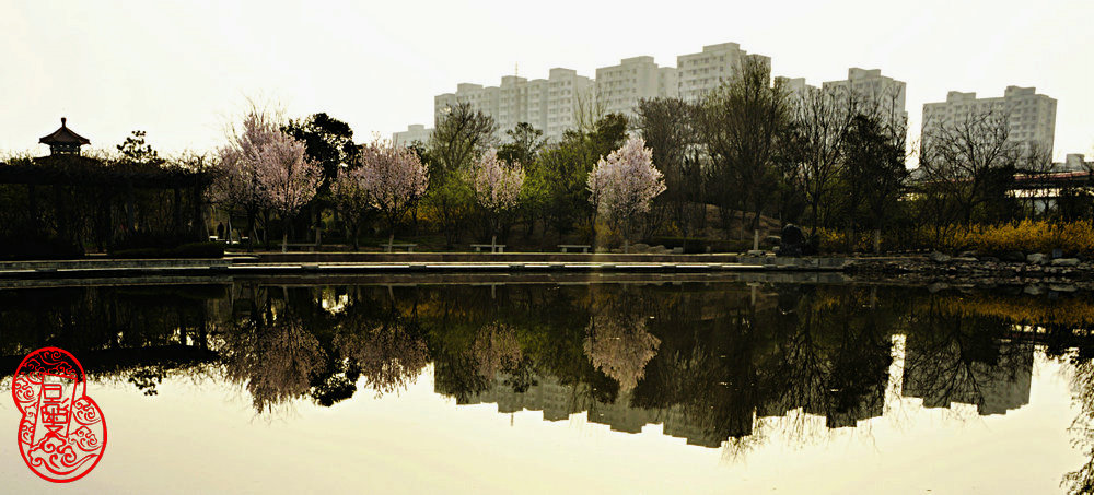 _DSC7734_.JPG