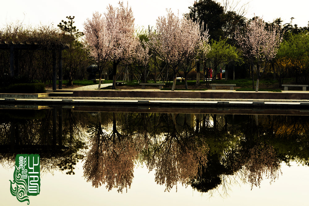 _DSC7737_.JPG