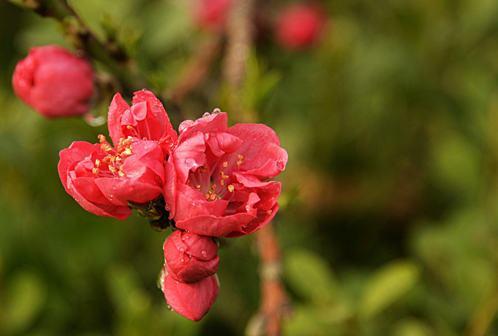 _DSC7772_.JPG