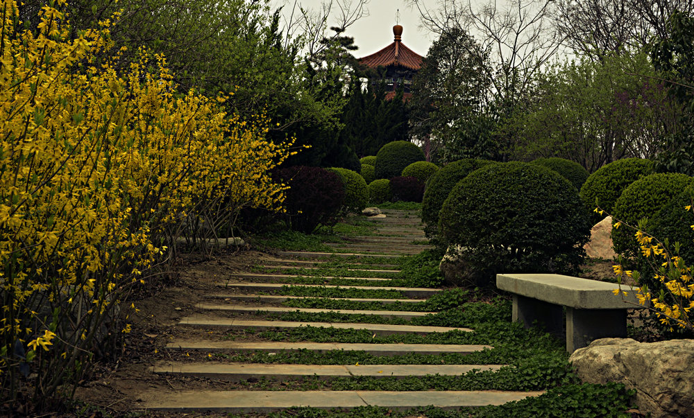 _DSC7844.JPG
