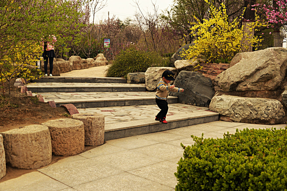 _DSC7984_.JPG