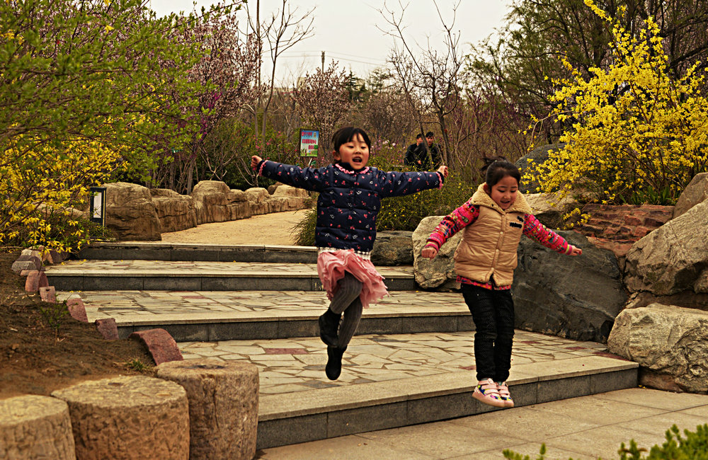 _DSC7990_.JPG