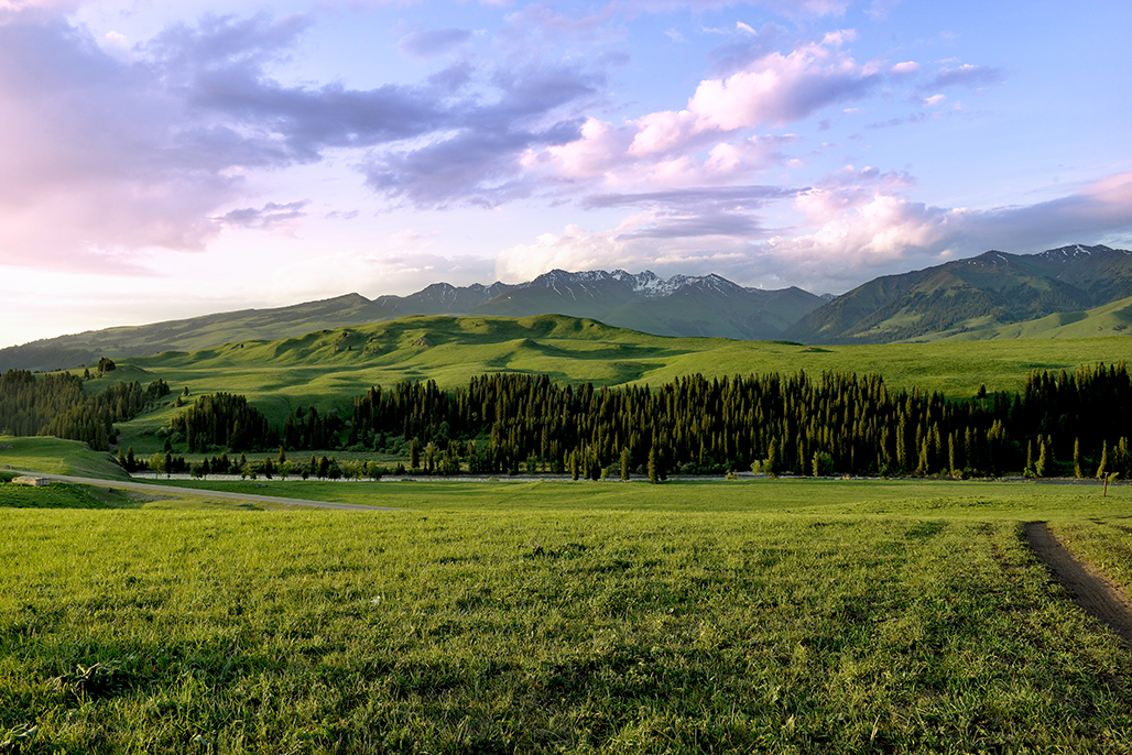 DSC_3142-1.jpg