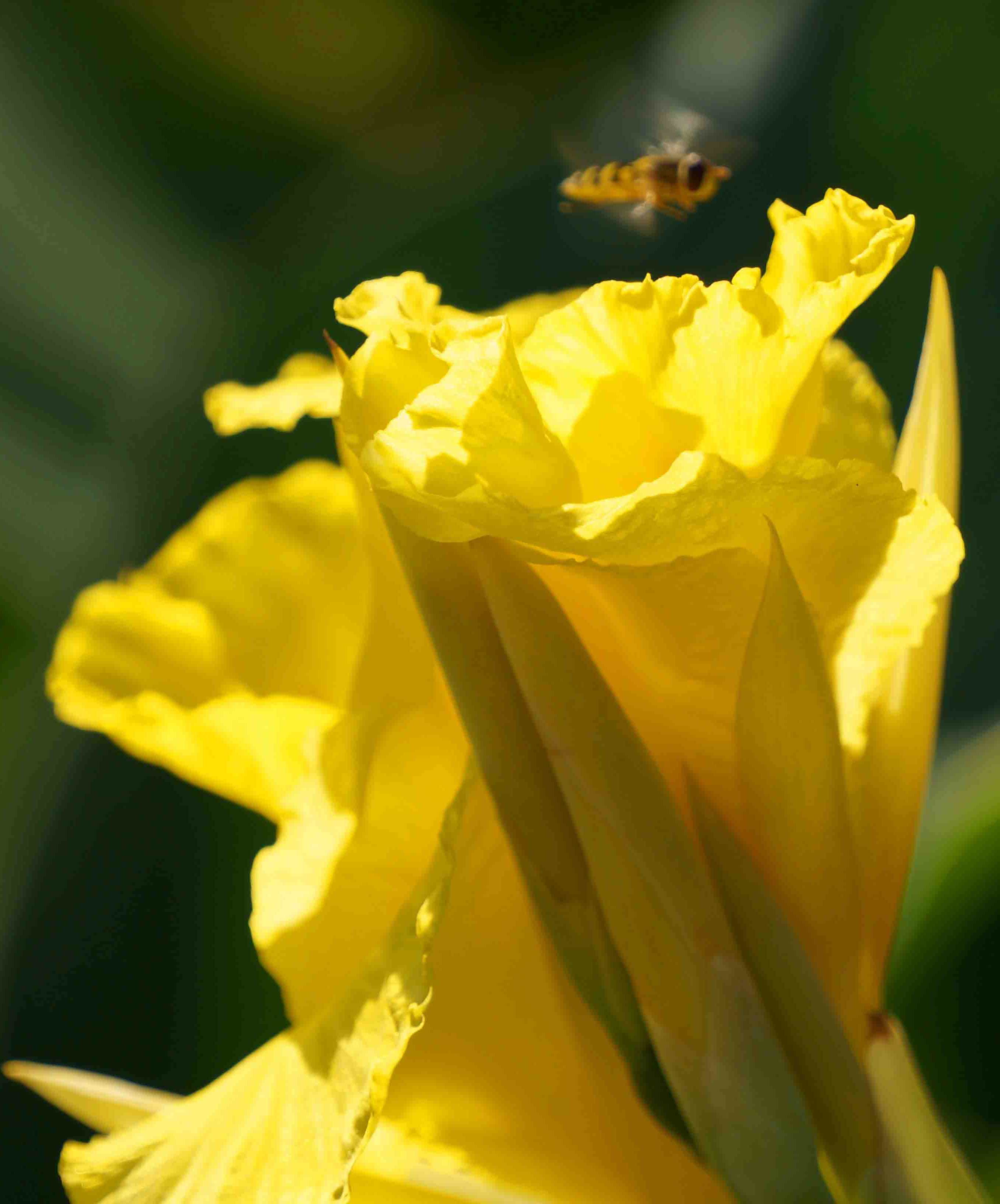 DSC00873 _.jpg