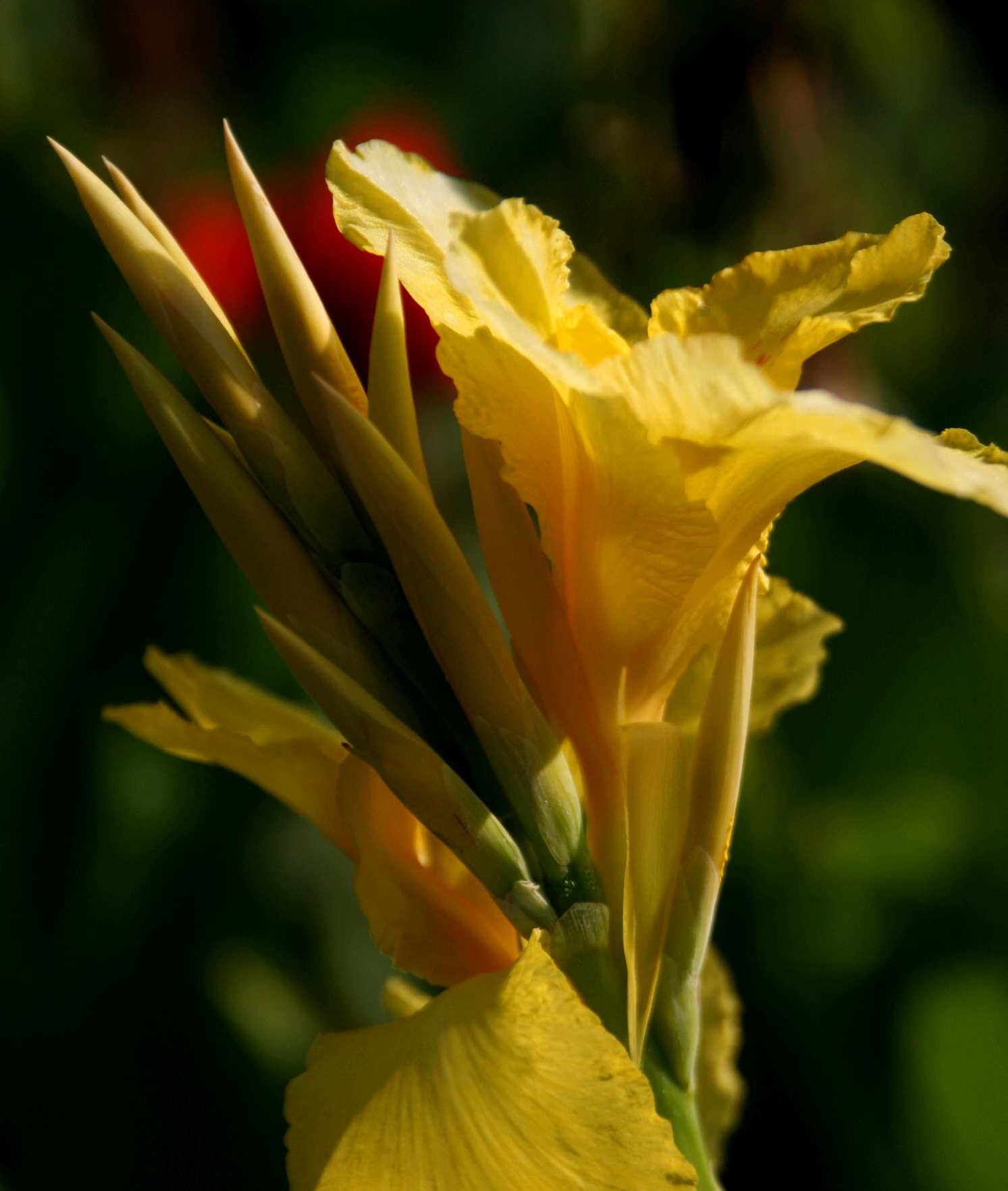 Ƭ 099_.jpg