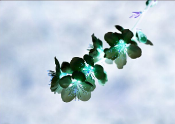 20150409150940.png