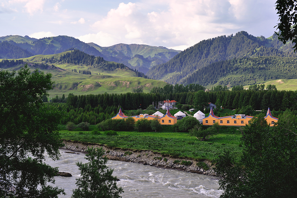 DSC_3154-1.jpg