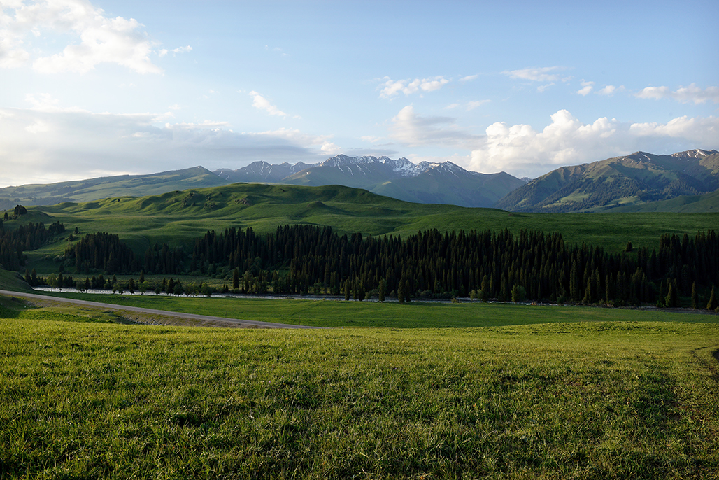 DSC_3151-1.jpg
