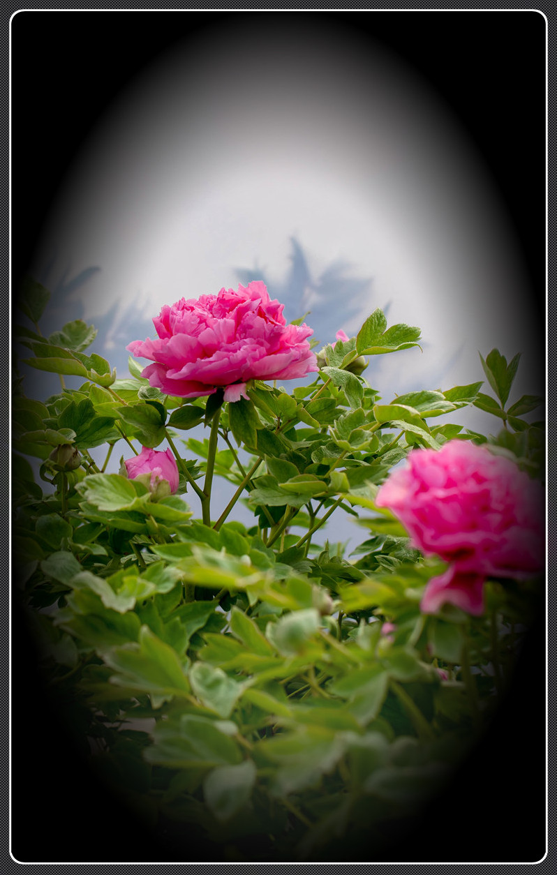 IMG_7200.jpg