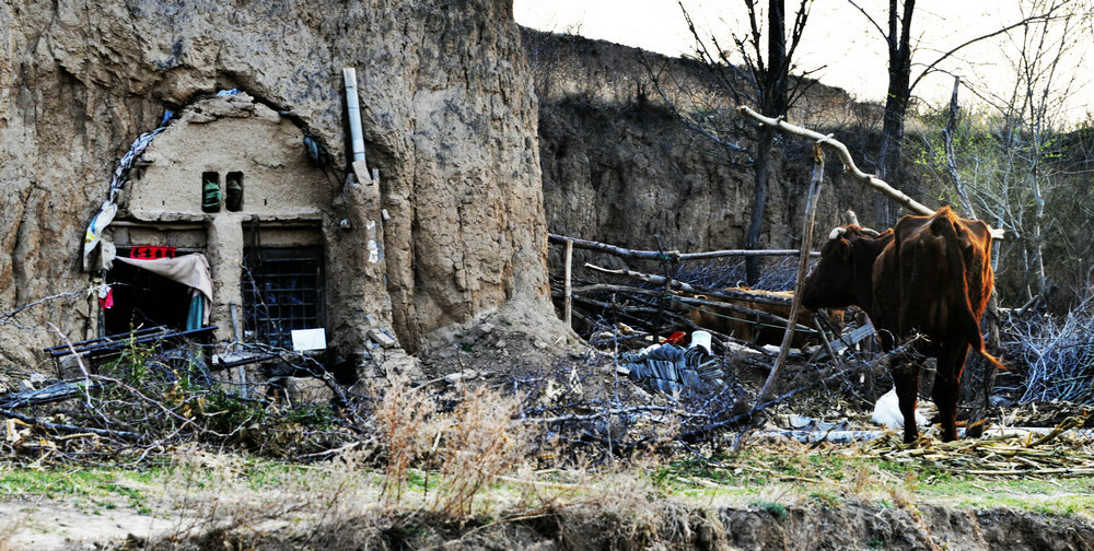 _DSC8043.JPG
