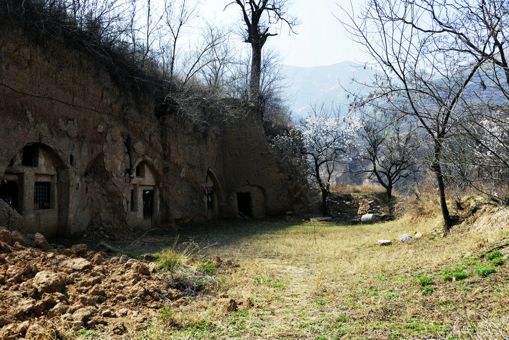_DSC8078.JPG