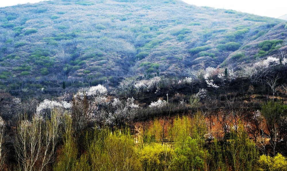 _DSC8106.JPG