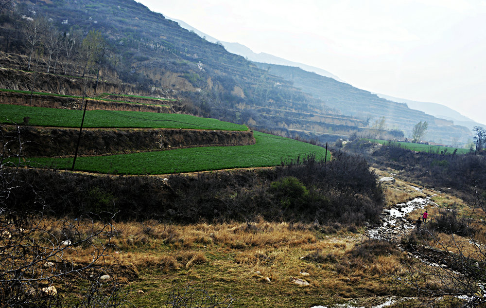 _DSC8123.JPG