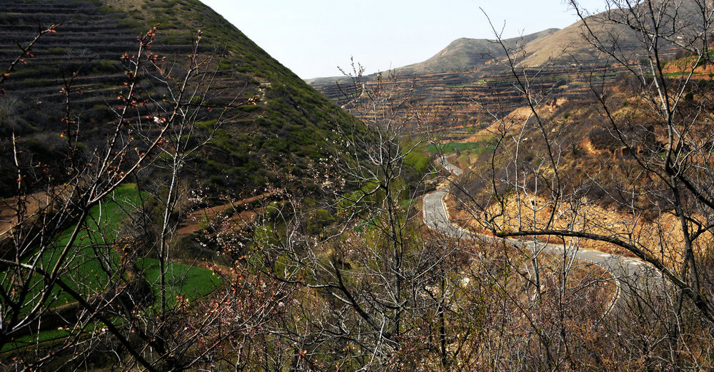 _DSC8211_.jpg