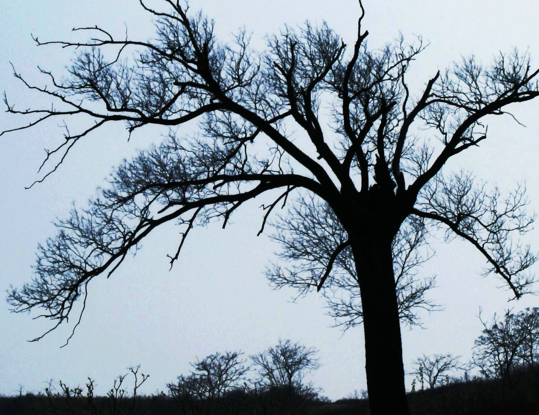 DSCF7631.JPG