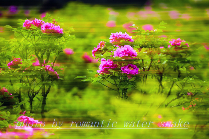0_71842_3c176d4974dacb4.jpg