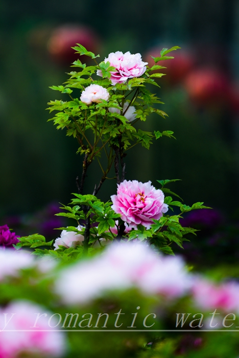 0_71842_5e294b02c49dbdb.jpg
