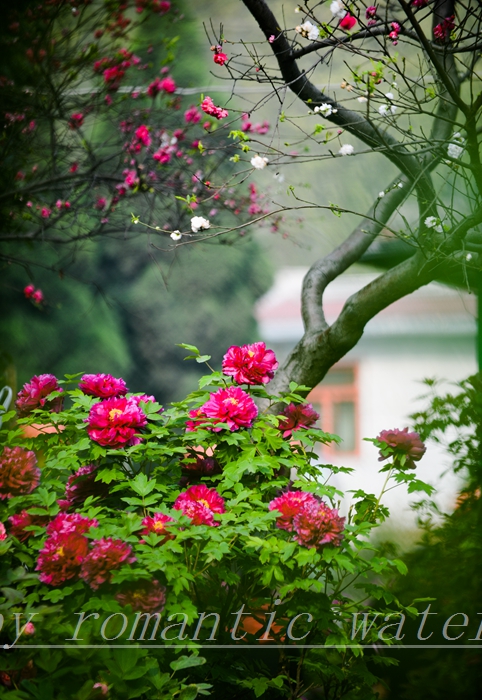 0_71842_b8c6c5bcb975ab6.jpg