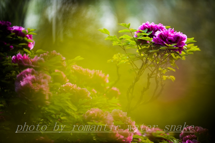 0_71842_c8e9eb60e3db810.jpg