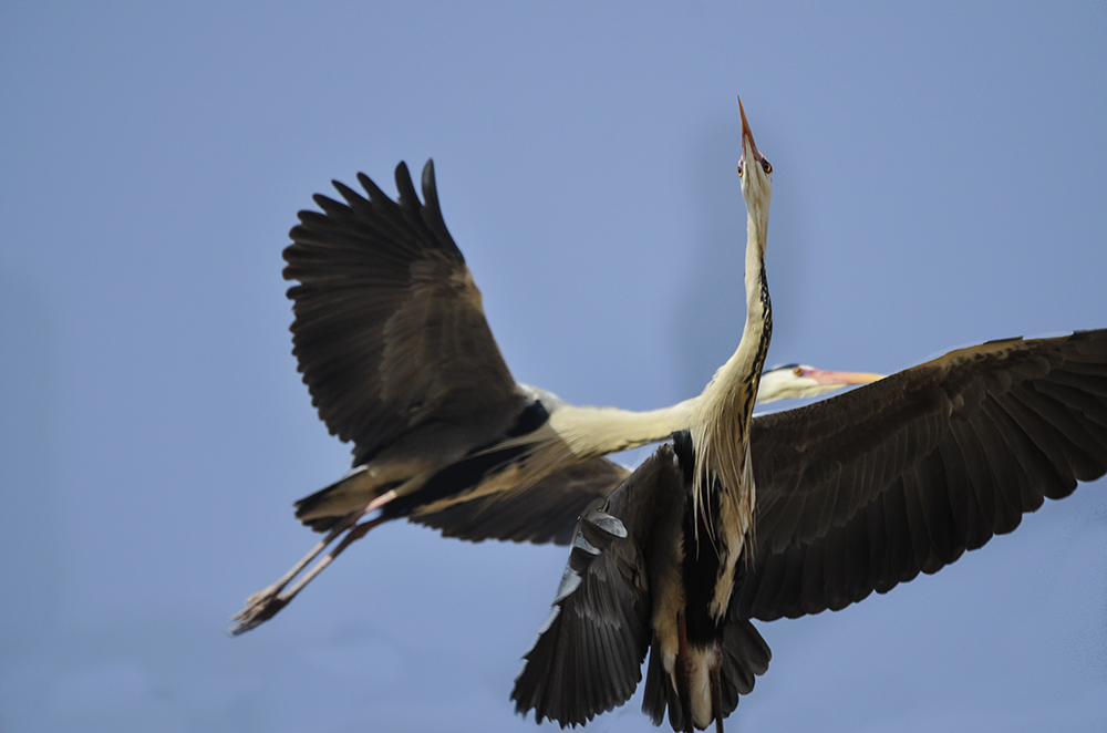 2015316ˮĥͷ a7081.jpg