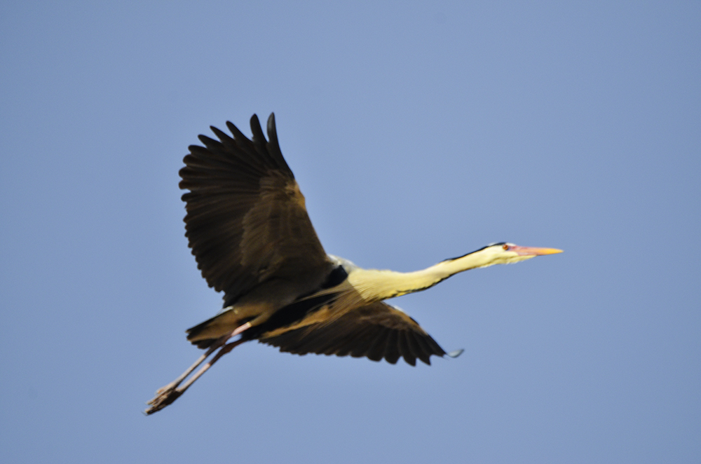 2015316ˮĥͷ a7071.jpg