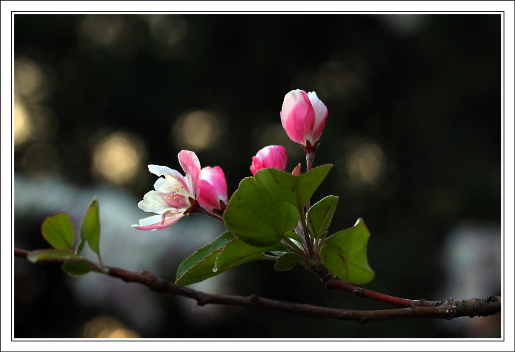 IMG_3905-2.jpg