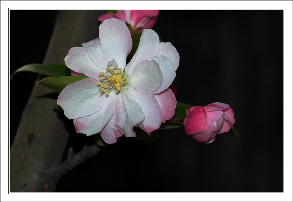 IMG_3849-2.jpg