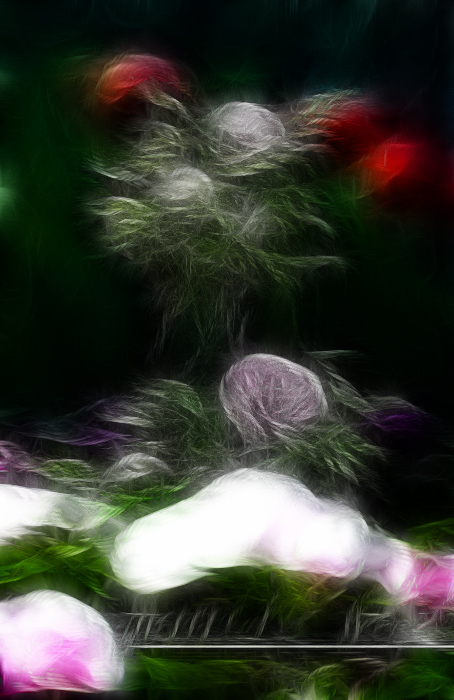 0_71842_5e294b02c49dbdb-1.jpg