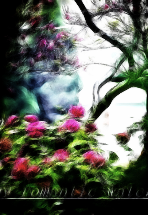 0_71842_b8c6c5bcb975ab6-1.jpg