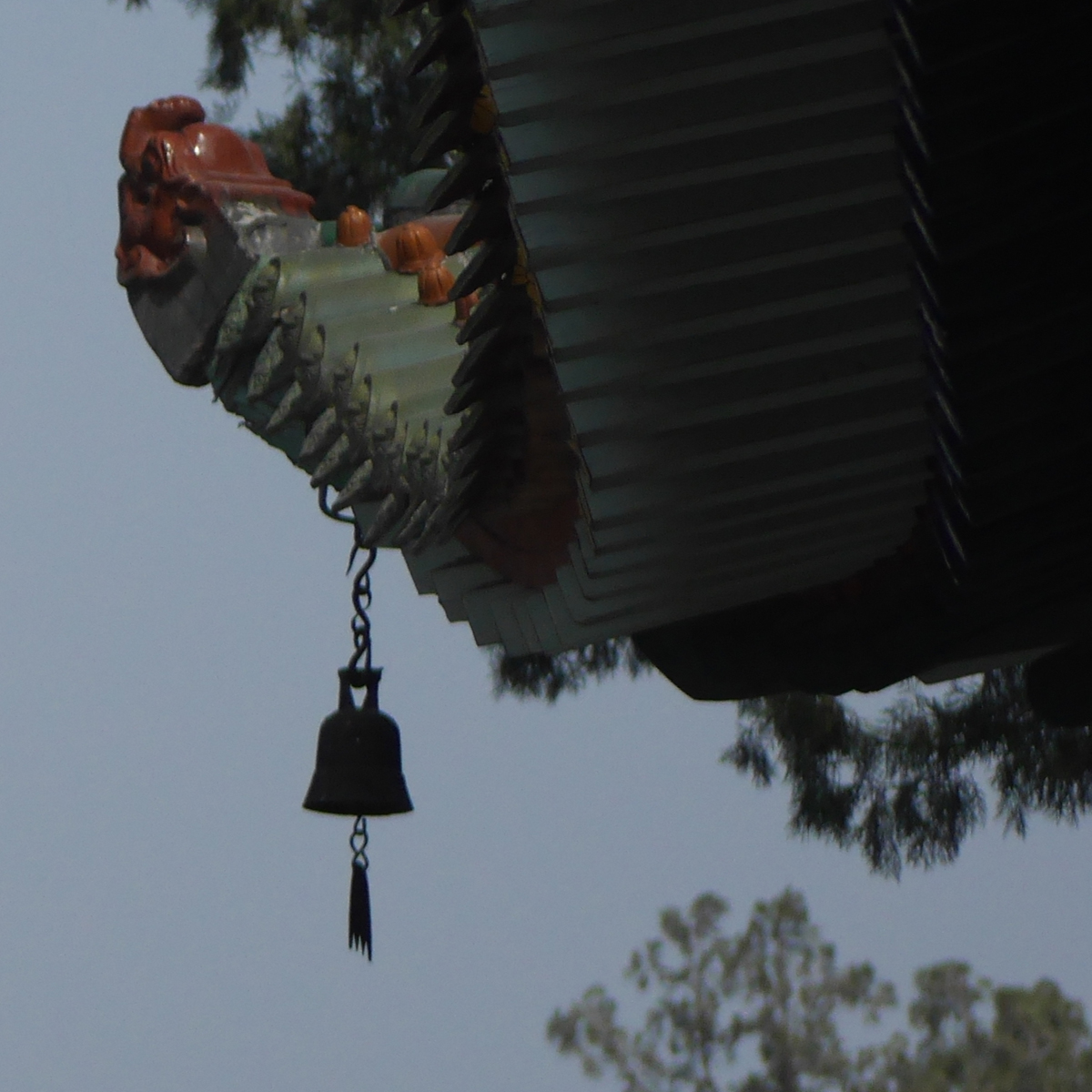 P1020840gh.jpg